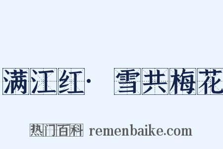 满江红·雪共梅花是什么意思的图片